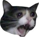 :AAAAAA: :AAAAAA: