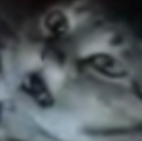 :aaaa: :aaaa: