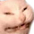 :AngeryCat: :AngeryCat: