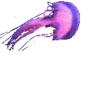 :Aquarium20: