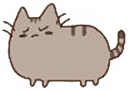 :pusheen_like_a_angery_fgr: