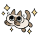 :azukisan034: :azukisan034: