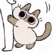 :siam_45:
