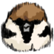 :tori058: