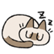 :azukisan018: :azukisan018: