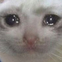 :sadcat: :sadcat:
