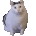 :hahcat: