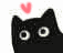 :blackcat_ear1: