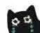 :blackcat_11133: :blackcat_11133: