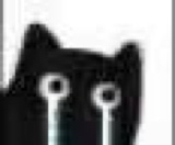 :blackcat_11134: :blackcat_11134: