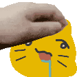 :ablobcat_frustration_pet: :ablobcat_frustration_pet: