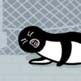 :suica_lie_cry: