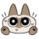 :azukisan_001: :azukisan_001: