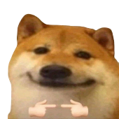 :shibaawkward: