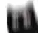 :gblackcat_shake_shadow: