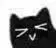 :blackcat_smile: