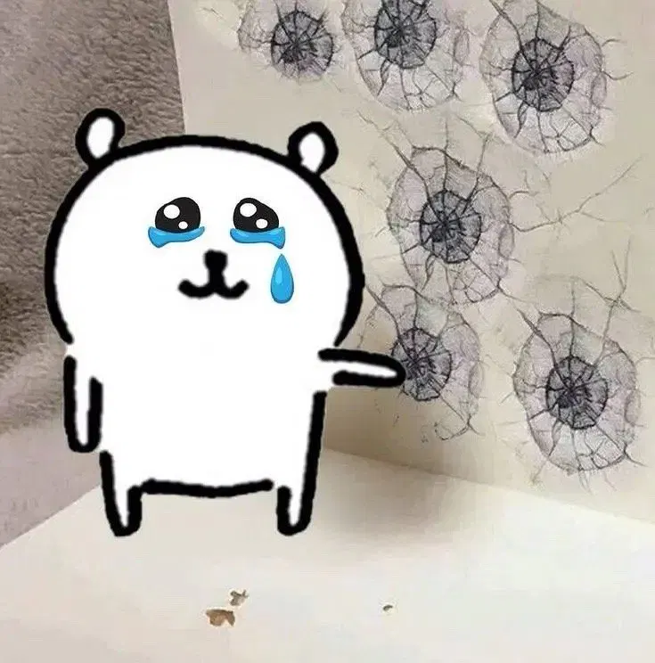 :nagano_chuiqiang: