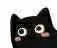 :gblackcat_face_pink2: :gblackcat_face_pink2: