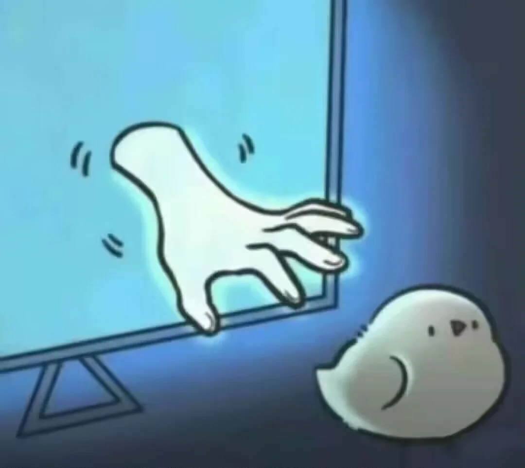 :petting_bird: