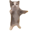 :happycat: