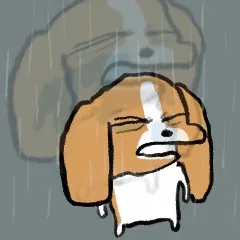 :duodong_28: